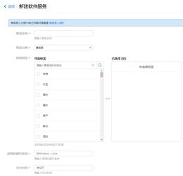 軟件服務(wù)與軟件開(kāi)發(fā) 創(chuàng)新驅(qū)動(dòng)下的雙核引擎